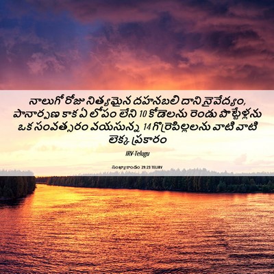Picture 06 - సంఖ్యాకాండం 29:23 TELIRV - నాలుగో రోజు - Bible Verse Picture