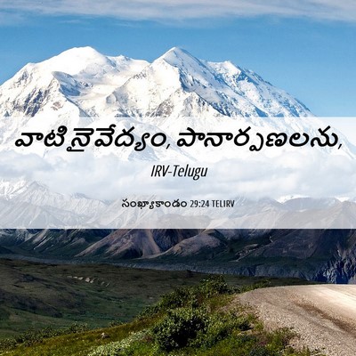 Picture 06 - సంఖ్యాకాండం 29:24 TELIRV - వాటి నైవేద్యం, - Bible Verse Picture