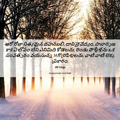 Picture 06 - సంఖ్యాకాండం 29:29 TELIRV - ఆరో రోజు నిత్యమైన - Bible Verse Picture