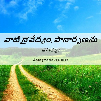 Picture 06 - సంఖ్యాకాండం 29:30 TELIRV - వాటి నైవేద్యం, - Bible Verse Picture