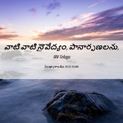 Picture 06 - సంఖ్యాకాండం 29:33 TELIRV - వాటి వాటి - Bible Verse Picture