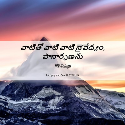 Picture 06 - సంఖ్యాకాండం 29:37 TELIRV - వాటితో వాటి వాటి - Bible Verse Picture