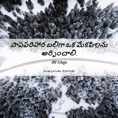 Picture 06 - సంఖ్యాకాండం 29:38 TELIRV - పాపపరిహార బలిగా - Bible Verse Picture