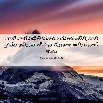 Picture 06 - సంఖ్యాకాండం 29:4 TELIRV - వాటి వాటి పద్ధతి - Bible Verse Picture