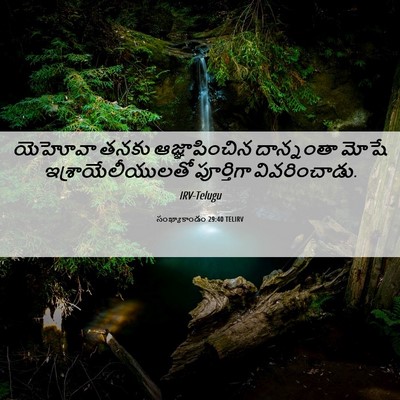 Picture 06 - సంఖ్యాకాండం 29:40 TELIRV - యెహోవా తనకు - Bible Verse Picture