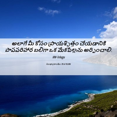 Picture 06 - సంఖ్యాకాండం 29:6 TELIRV - అలాగే మీ కోసం - Bible Verse Picture