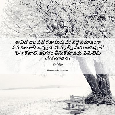 Picture 06 - సంఖ్యాకాండం 29:7 TELIRV - ఈ ఏడో నెల పదో రోజు - Bible Verse Picture