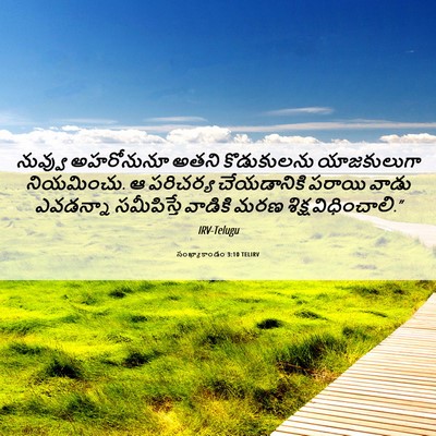 Picture 06 - సంఖ్యాకాండం 3:10 TELIRV - నువ్వు అహరోనునూ - Bible Verse Picture