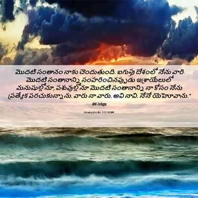 Picture 06 - సంఖ్యాకాండం 3:13 TELIRV - మొదటి సంతానం నాకు - Bible Verse Picture