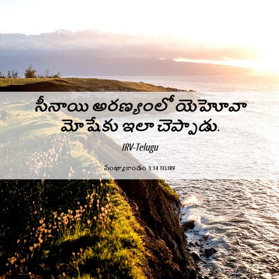 Picture 06 - సంఖ్యాకాండం 3:14 TELIRV - సీనాయి అరణ్యంలో - Bible Verse Picture