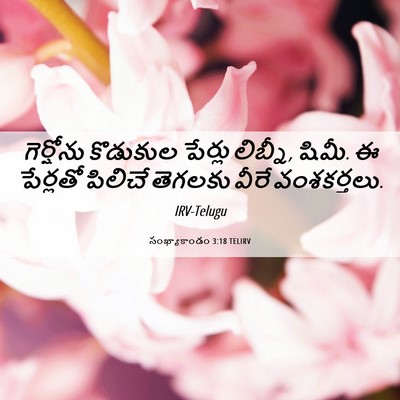 Picture 06 - సంఖ్యాకాండం 3:18 TELIRV - గెర్షోను కొడుకుల - Bible Verse Picture
