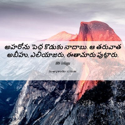 Picture 06 - సంఖ్యాకాండం 3:2 TELIRV - అహరోను పెద్ద - Bible Verse Picture