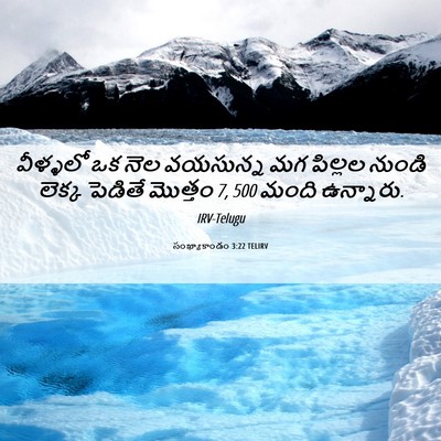 Picture 06 - సంఖ్యాకాండం 3:22 TELIRV - వీళ్ళలో ఒక నెల - Bible Verse Picture