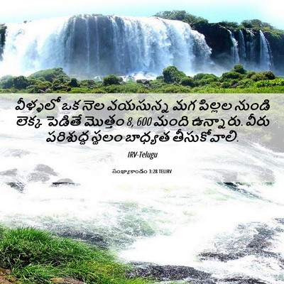 Picture 06 - సంఖ్యాకాండం 3:28 TELIRV - వీళ్ళలో ఒక నెల - Bible Verse Picture