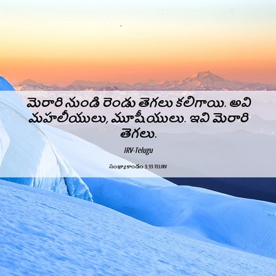 Picture 06 - సంఖ్యాకాండం 3:33 TELIRV - మెరారి నుండి - Bible Verse Picture