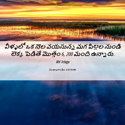 Picture 06 - సంఖ్యాకాండం 3:34 TELIRV - వీళ్ళలో ఒక నెల - Bible Verse Picture