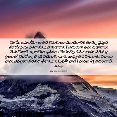 Picture 06 - సంఖ్యాకాండం 3:38 TELIRV - మోషే, అహరోనూ, అతని - Bible Verse Picture