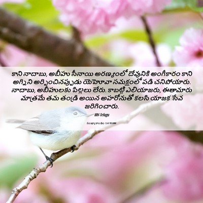 Picture 06 - సంఖ్యాకాండం 3:4 TELIRV - కాని నాదాబు, అబీహు - Bible Verse Picture