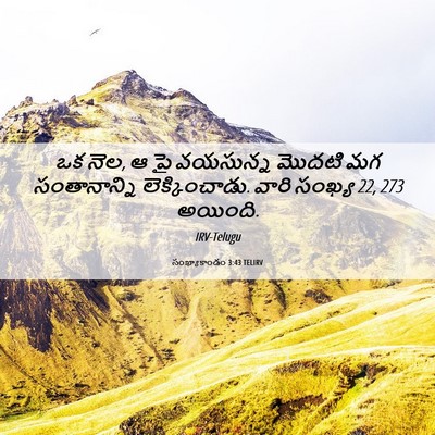 Picture 06 - సంఖ్యాకాండం 3:43 TELIRV - ఒక నెల, ఆ పై - Bible Verse Picture