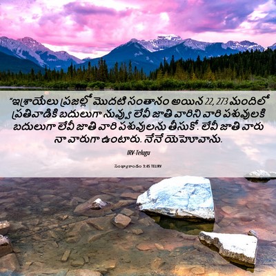 Picture 06 - సంఖ్యాకాండం 3:45 TELIRV - “ఇశ్రాయేలు - Bible Verse Picture