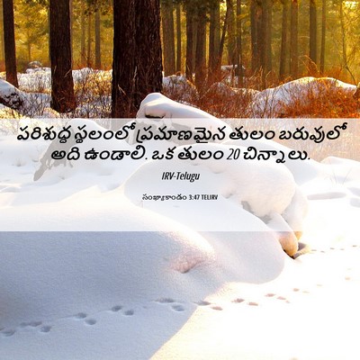 Picture 06 - సంఖ్యాకాండం 3:47 TELIRV - పరిశుద్ధ స్థలంలో - Bible Verse Picture