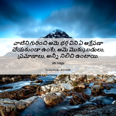 Picture 06 - సంఖ్యాకాండం 30:11 TELIRV - వాటిని గురించి - Bible Verse Picture