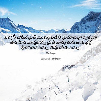 Picture 06 - సంఖ్యాకాండం 30:13 TELIRV - ఒక స్త్రీ చేసిన - Bible Verse Picture