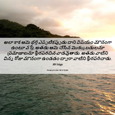 Picture 06 - సంఖ్యాకాండం 30:14 TELIRV - అలా కాక ఆమె భర్త - Bible Verse Picture