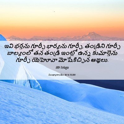 Picture 06 - సంఖ్యాకాండం 30:16 TELIRV - ఇవి భర్తను గూర్చీ - Bible Verse Picture