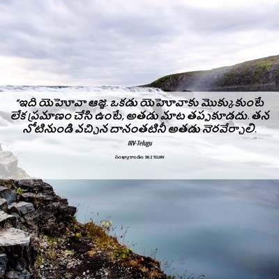 Picture 06 - సంఖ్యాకాండం 30:2 TELIRV - “ఇది యెహోవా ఆజ్ఞ. - Bible Verse Picture