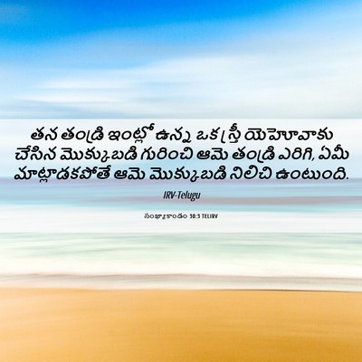 Picture 06 - సంఖ్యాకాండం 30:3 TELIRV - తన తండ్రి ఇంట్లో - Bible Verse Picture