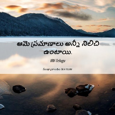Picture 06 - సంఖ్యాకాండం 30:4 TELIRV - ఆమె ప్రమాణాలు - Bible Verse Picture