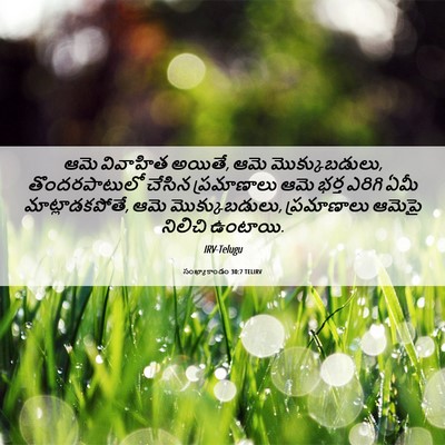 Picture 06 - సంఖ్యాకాండం 30:7 TELIRV - ఆమె వివాహిత అయితే, - Bible Verse Picture