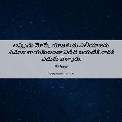 Picture 06 - సంఖ్యాకాండం 31:13 TELIRV - అప్పుడు మోషే, - Bible Verse Picture
