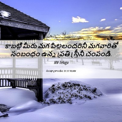 Picture 06 - సంఖ్యాకాండం 31:17 TELIRV - కాబట్టి మీరు మగ - Bible Verse Picture
