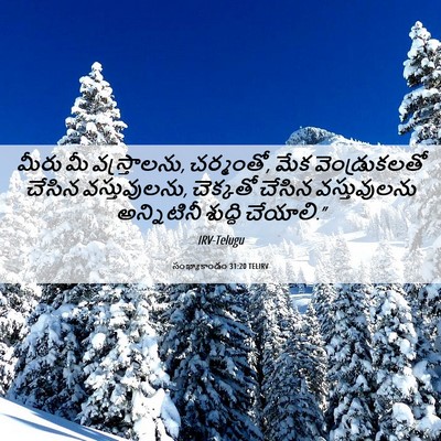 Picture 06 - సంఖ్యాకాండం 31:20 TELIRV - మీరు మీ - Bible Verse Picture