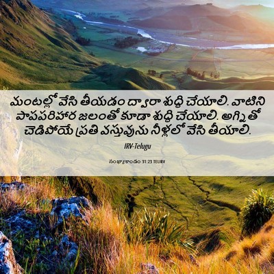 Picture 06 - సంఖ్యాకాండం 31:23 TELIRV - మంటల్లో వేసి - Bible Verse Picture