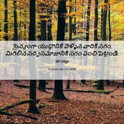 Picture 06 - సంఖ్యాకాండం 31:27 TELIRV - సైన్యంగా - Bible Verse Picture