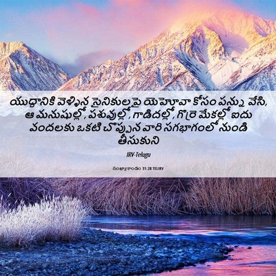 Picture 06 - సంఖ్యాకాండం 31:28 TELIRV - యుద్ధానికి - Bible Verse Picture