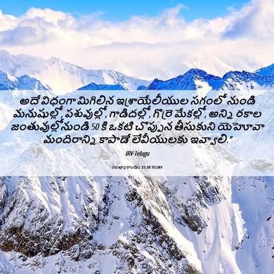Picture 06 - సంఖ్యాకాండం 31:30 TELIRV - అదే విధంగా - Bible Verse Picture
