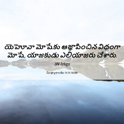 Picture 06 - సంఖ్యాకాండం 31:31 TELIRV - యెహోవా మోషేకు - Bible Verse Picture