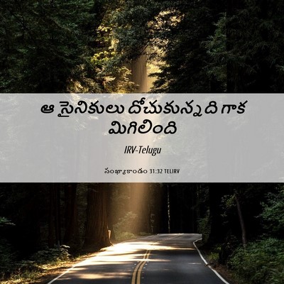 Picture 06 - సంఖ్యాకాండం 31:32 TELIRV - ఆ సైనికులు - Bible Verse Picture