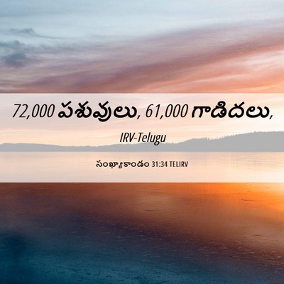 Picture 06 - సంఖ్యాకాండం 31:34 TELIRV - 72,000 పశువులు, 61,000 - Bible Verse Picture