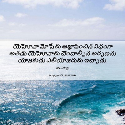 Picture 06 - సంఖ్యాకాండం 31:41 TELIRV - యెహోవా మోషేకు - Bible Verse Picture
