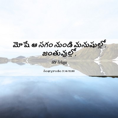 Picture 06 - సంఖ్యాకాండం 31:46 TELIRV - మోషే ఆ సగం నుండి - Bible Verse Picture
