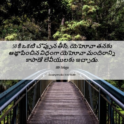 Picture 06 - సంఖ్యాకాండం 31:47 TELIRV - 50 కి ఒకటి చొప్పున - Bible Verse Picture