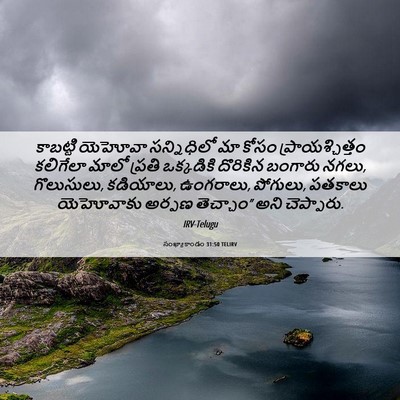 Picture 06 - సంఖ్యాకాండం 31:50 TELIRV - కాబట్టి యెహోవా - Bible Verse Picture