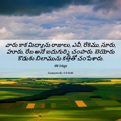 Picture 06 - సంఖ్యాకాండం 31:8 TELIRV - వారు కాక మిద్యాను - Bible Verse Picture