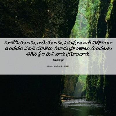 Picture 06 - సంఖ్యాకాండం 32:1 TELIRV - రూబేనీయులకు, - Bible Verse Picture