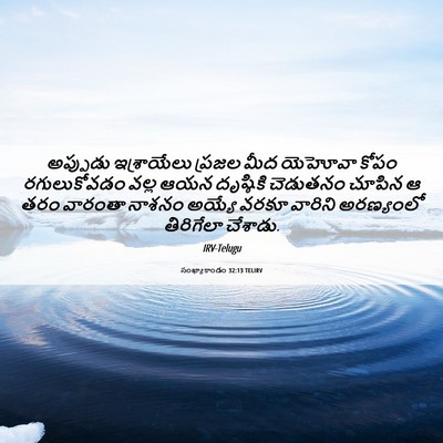 Picture 06 - సంఖ్యాకాండం 32:13 TELIRV - అప్పుడు ఇశ్రాయేలు - Bible Verse Picture